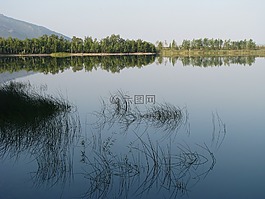 海灘,湖,草