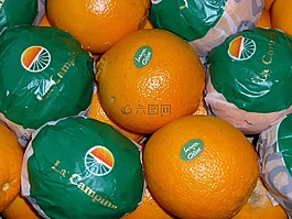 桔子,水果,柑橘