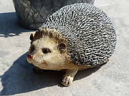 花园图,刺猬,表
