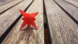 紅色,橙,花