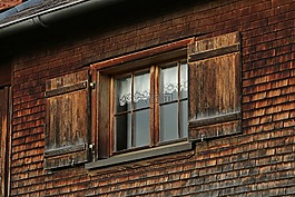 農(nóng)家,雞蛋,奧地利