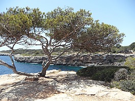 地中海,海,海岸