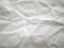 纸,背景,叶