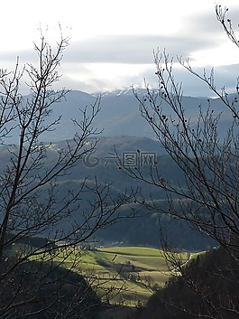 樹,山,分支機構(gòu)