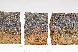 黑麥面包,藍色罌粟花種子,食品