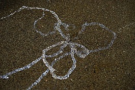 履帶式車道,蝸牛,煤泥步道