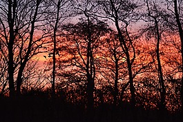 日出,morgenrot,太陽