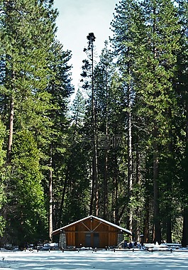 約塞米蒂,木屋,山間小屋