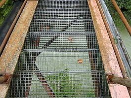 樓梯,鐵藝樓梯,格