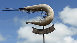 greetsiel,东弗里斯,蟹