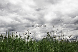 云,天空,草