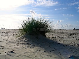 海灘,假期,夏季