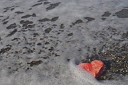 心臟,海,假期