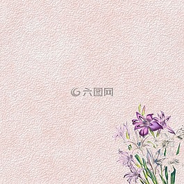 背景,剪貼簿,紙