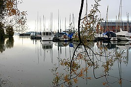 湖,秋,日出
