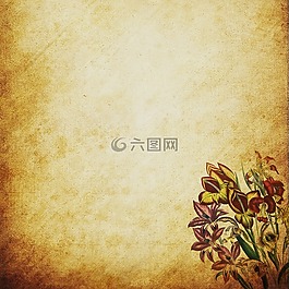 背景,剪貼簿,紙