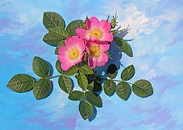 鮮花,野玫瑰,廠