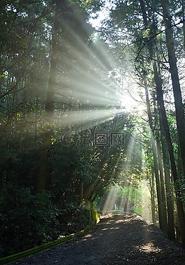 夏季,陽光,登山口