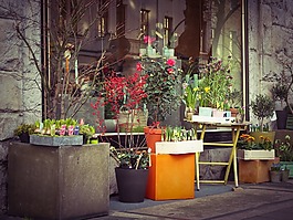 鲜花,花店,花商
