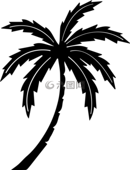 棕櫚樹,樹,熱帶