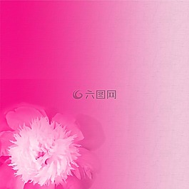 紙,背景,剪貼簿