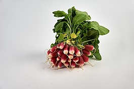 蘿卜,電源,健康食品