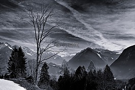 景觀,山,山峰