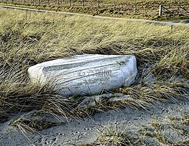 船,草,農(nóng)田