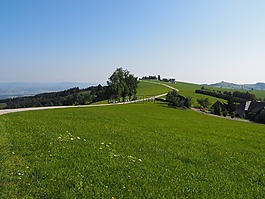 性质,景观,山上土地