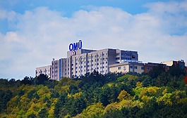 大學,性質(zhì),景觀