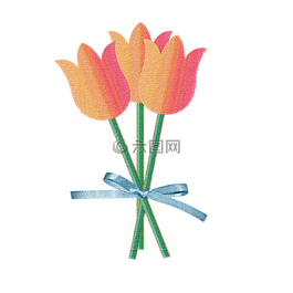 郁金香,性質,荷蘭
