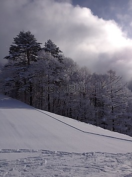 雪,山,冬季