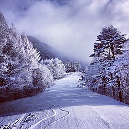 雪,山,冬季