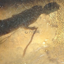 陰影,溪,河