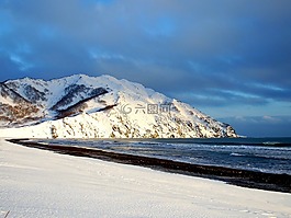 太平洋,海,海灘