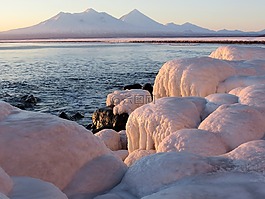 太平洋,海,海灘