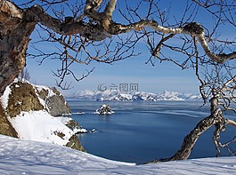 太平洋,海,海灘