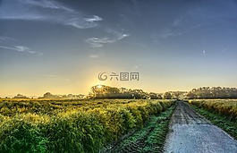 日出,霧,陽光