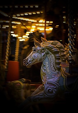 旋轉(zhuǎn)木馬,馬,公平