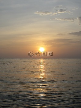 海,日落,海灘