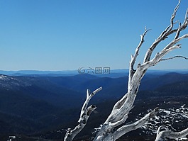 雪,天空,雪的天空