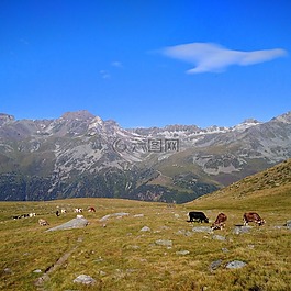 山,景觀(guān),自然