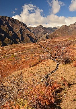 山,自然,景觀