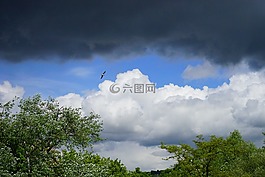 云,天空,陰