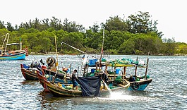 生活,大海,碼頭