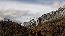 上衣,頂視圖,景觀