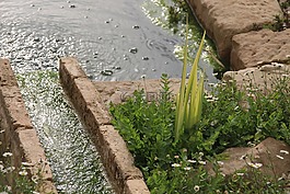 筏,水,通道