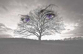 眼睛,幻想,photoshop 操作