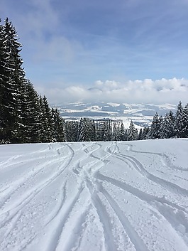 冬天,雪,雪中痕跡