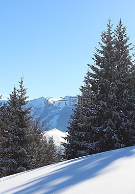 寒冬,雪,阿爾高